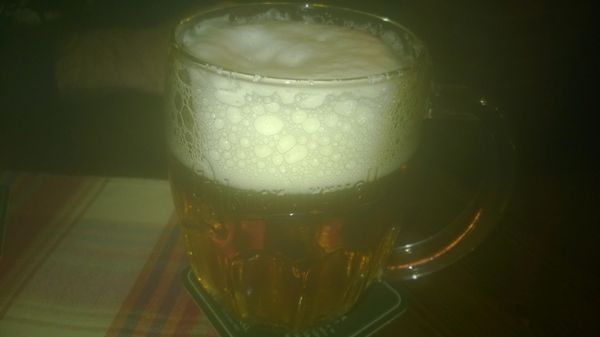 U Švejka by null