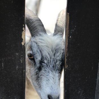 Frank Buck Zoo - Zoos Near Me - Gainesville, Texas
