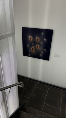Hilliard Art Museum by null