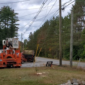 Bolduc Tree Service - Pine tree - after (before stump was ground out) - Tree Services Near Me - Fremont, New Hampshire