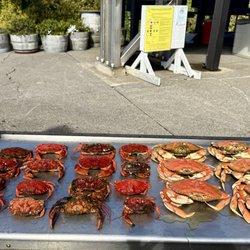 Netarts Bay Garden RV Resorts - Look at all the yummy crab that was caught.