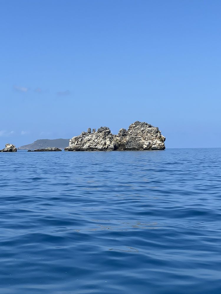 Nate's Custom Charters Logo