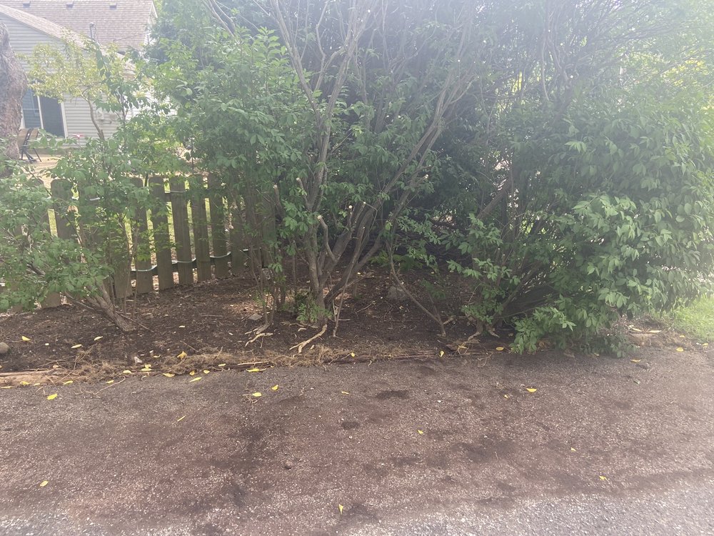 Yard Helpers of Columbus - tree service in Columbus, OH