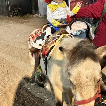 Start Stables - We had the best time at Ave 26, Pico Rivera Sports Arena!  Such a fun, well-planned event with so many happy faces. Thank you - Petting Zoos Near Me