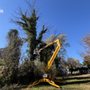County Line Property Management
