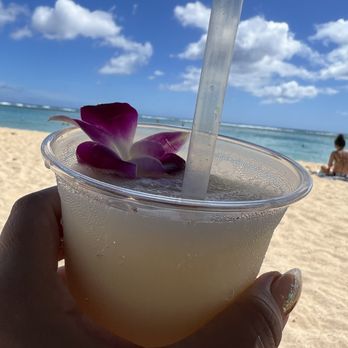 Koa Oasis - Cheers - Dive Bars Near Me - Honolulu, Hawaii