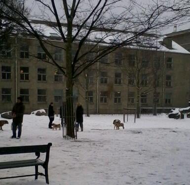 Hundegården Trianglen