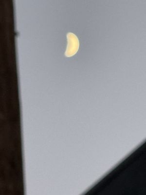 Shank & Bône by null