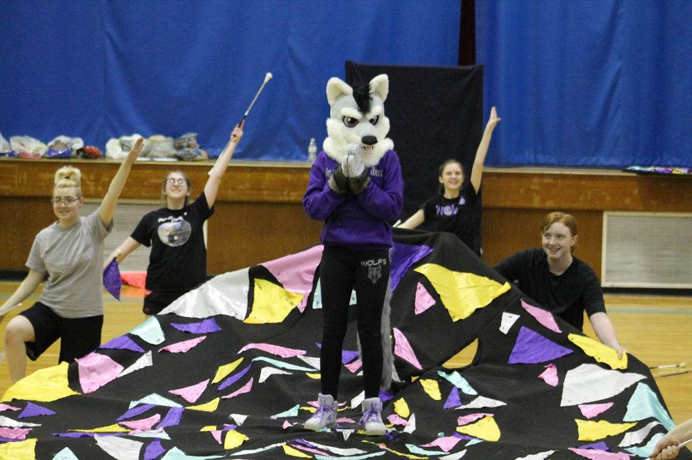 Social spots from Wolf's Performing Arts