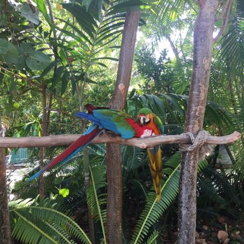 Jungle Island - Amusement Parks Near Me - Miami, Florida Jungle Island - Amusement Parks Near Me - Miami, Florida