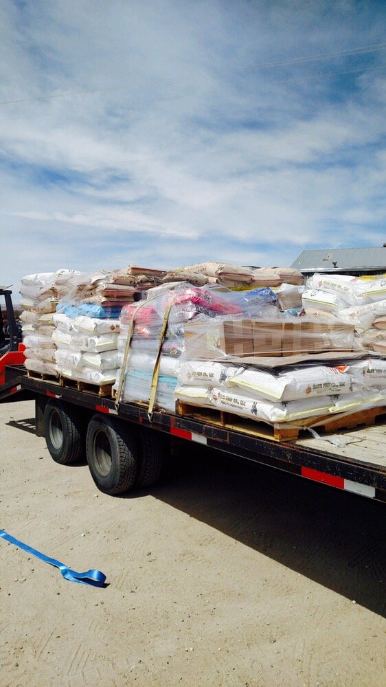 THE FEED STORE AT ALL 4 PETS Updated June 2024 15 Photos 1301