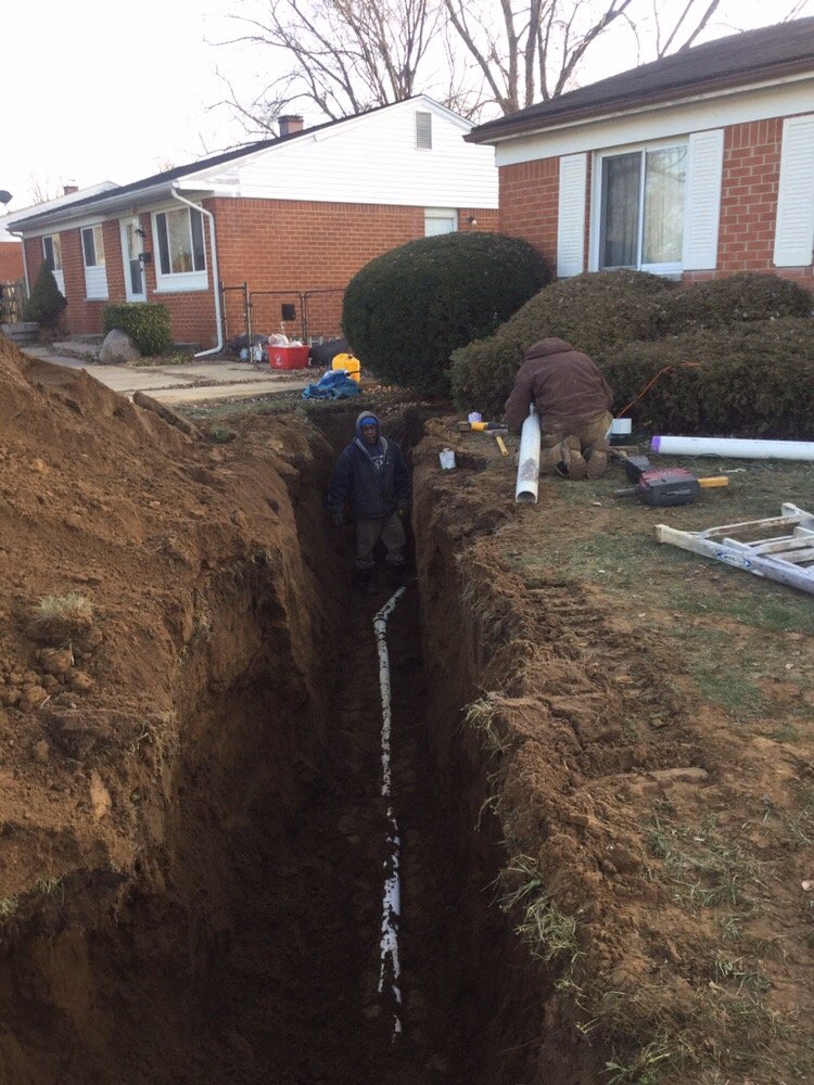 Slide of Mr Root Out