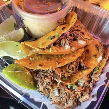 Talkin' Tacos Temple Terrace - Bria - Mexican Near Me - Tampa, Florida Talkin' Tacos Temple Terrace - Bria - Mexican Near Me - Tampa, Florida