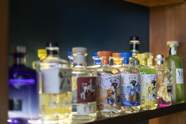 The Gin Library - The Worlds Largest Gin Collection by null