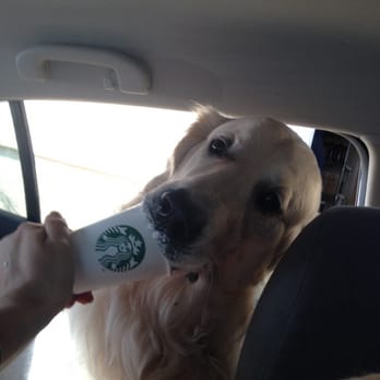 Starbucks - Always spoiled by the staff at Starbucks... - Coffee & Tea Near Me - Sherman, Texas Starbucks - Always spoiled by the staff at Starbucks... - Coffee & Tea Near Me - Sherman, Texas
