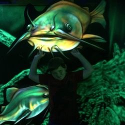 Indoor Mini Golf - Glow golf