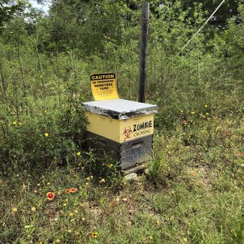 Texas Honey Bee Farm - Tours Near Me - Austin, Texas Texas Honey Bee Farm - Tours Near Me - Austin, Texas