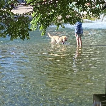 Barton Springs Pool - Swimming Pools Near Me - Austin, Texas