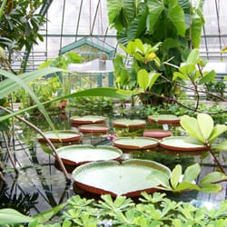 Botanischer Garten der Universität Basel
