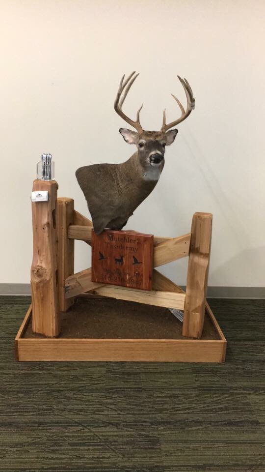 Mutchler Taxidermy - taxidermy in Des Moines, IA