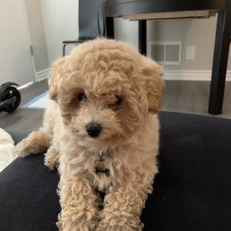 Day I brought her home Day I brought her home