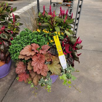 Deneweth's Garden Center - Nurseries & Gardening Near Me - Macomb, Michigan