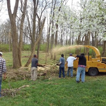 Marios Tree Care - Chipping the dead limbs and tree trunks and spraying it as mulch - Tree Services Near Me - Shelbyville, Kentucky Marios Tree Care - Chipping the dead limbs and tree trunks and spraying it as mulch - Tree Services Near Me - Shelbyville, Kentucky