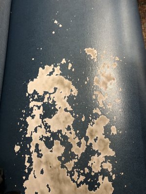 Ivar's Seafood Bar by null