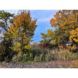 Alvin P. Williams Memorial Park - #intenselypassionatephotography