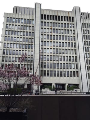 School of International and Public Affairs by null