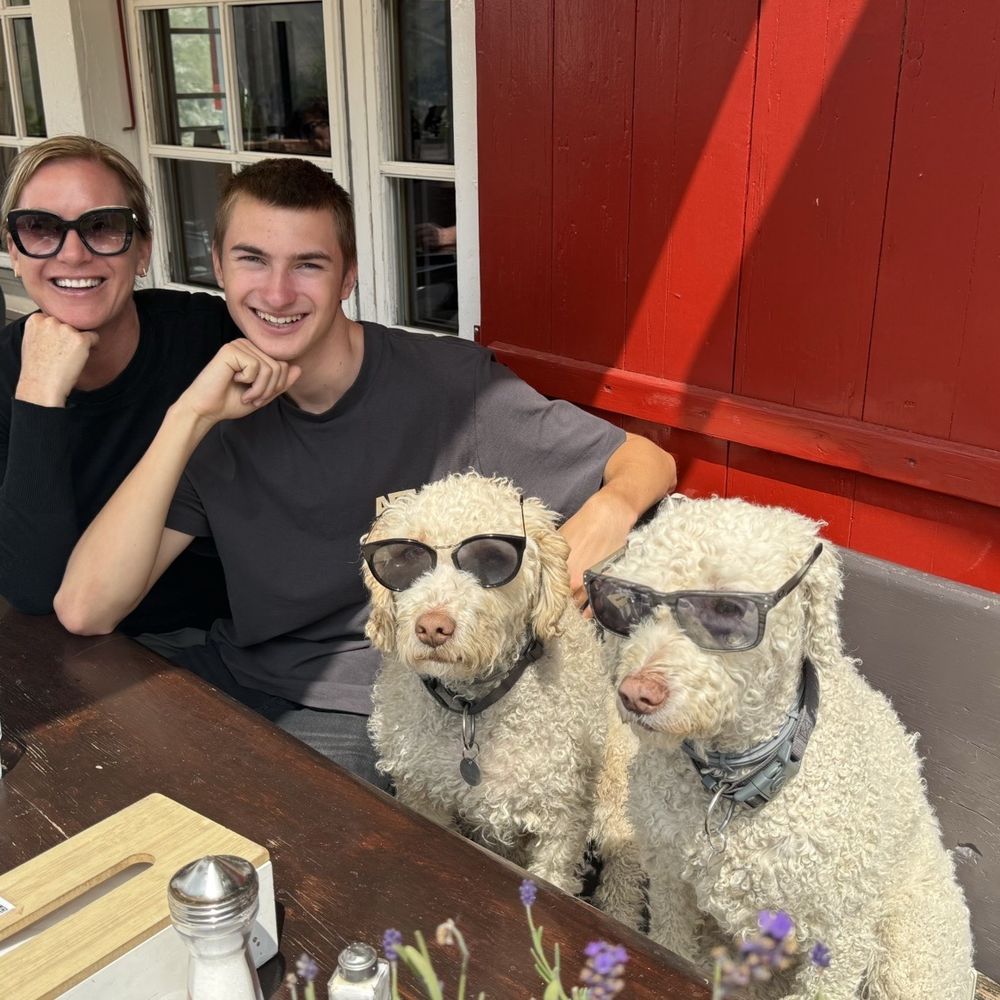 Owners dogs enjoying lunch with us.