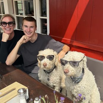 Alphitta - Owners dogs enjoying lunch with us. - Swiss Food Near Me - Zermatt, VS Alphitta - Owners dogs enjoying lunch with us. - Swiss Food Near Me - Zermatt, VS