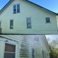 Pressure Warriors - Algae mold and dirt can deteriorate your siding or brick, so don't just let it sit on there for years clean it  located in Paris,tn