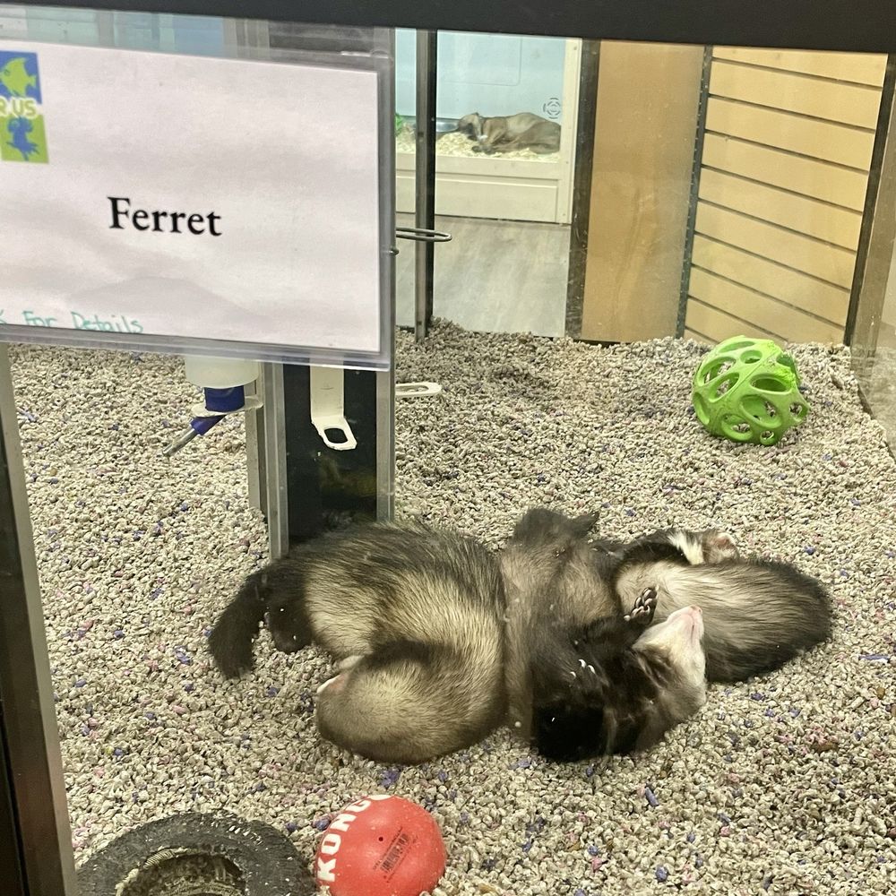 Pets-R-US - Pet Stores Near Me - Omaha, Nebraska Pets-R-US - Pet Stores Near Me - Omaha, Nebraska
