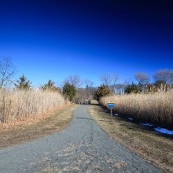 Flint Park - Trailway