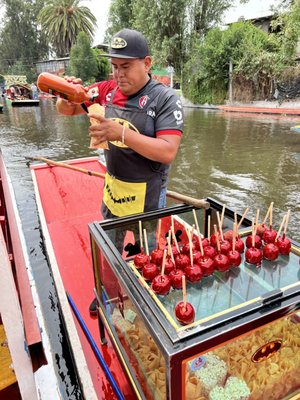 Parque Ecológico de Xochimilco by null
