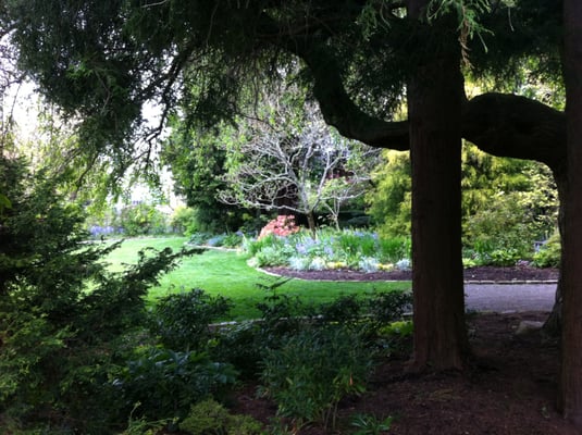 Parsons Gardens by null