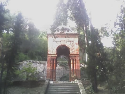 Giardini Botanici Hanbury by null