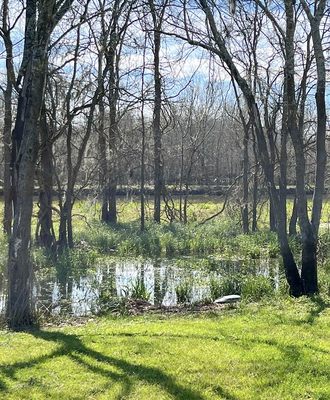 George Bush Park by null