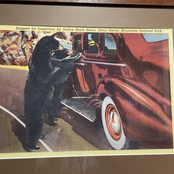Black Bear Diner Fullerton - American Near Me - Fullerton, California