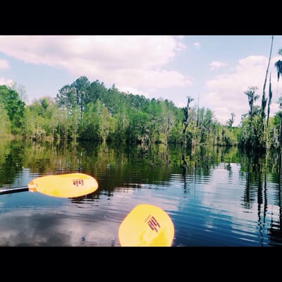 Laura S. Walker State Park by null