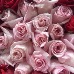 Tower Florist - Roses