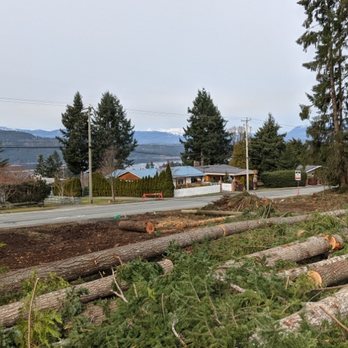 Tech Tree Services - Residential lot clearing. Logs processed to maximize sales volume and value. - Tree Services Near Me