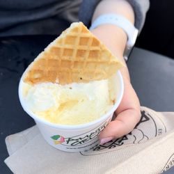 Amato Gelato Cafe - Durian gelato