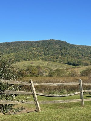 Glen Manor Vineyards by null