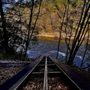 Photo of Lehigh Park