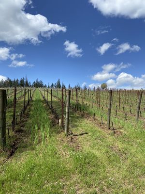 Beaux Frères by null