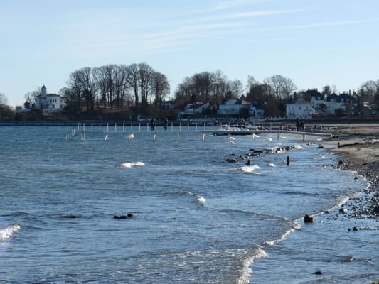 Bellevue Beach by null