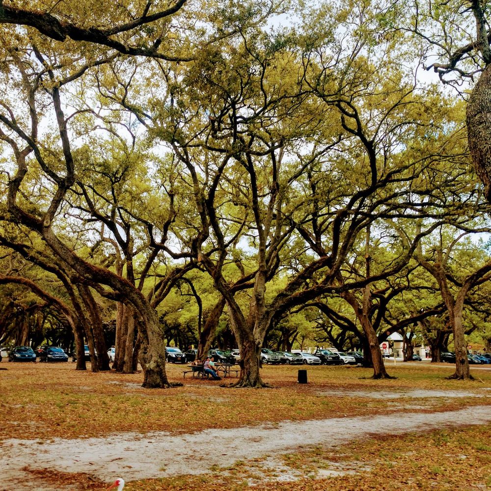 T.Y. Park - Parks Near Me - Hollywood, Florida T.Y. Park - Parks Near Me - Hollywood, Florida