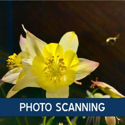 Digital Blueprint - Photo Scanning